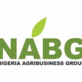 Agribusiness in Nigeria needs standardisation, NABG says