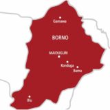 The Accountability Dilemma at the Heart of Borno’s Integration Model