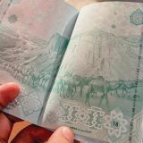 Saudi Arabia moves to issue passports for millions of camels