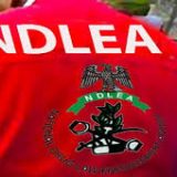 How we arrested China-bound trader with 95 cocaine pellets at Kano airport—NDLEA