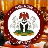 Senate backs electronic transmission, manual results as backup in electoral act
