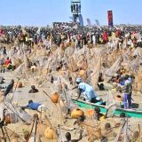 Argungu festival draws 50,000 fishermen as Tinubu hails ‘return of peace to northwest’