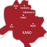 Kano Woman Delivers Quintuplets At Specialist Hospital