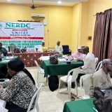 NERDC, UNICEF Partner to Review Early Childhood Education Curriculum