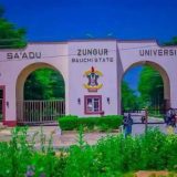 Suspected Phone Snatchers Maim Bauchi Varsity Student During Robbery