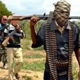Kidnapped Passengers Escape After Abductors Fall Asleep In Kogi Forest
