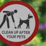Pee Penalty: Italian City to Fine Dog Owners Up to €500 for Unwashed Pet Urine