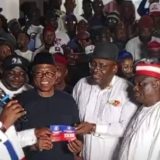Kwankwaso, Obi Obtain NDC Membership Cards