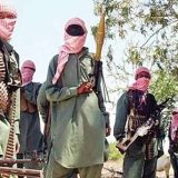 Bandits Abduct 42 Schoolchildren in Borno