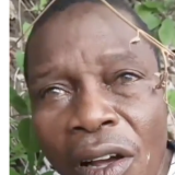 Bandits Kill Abducted Oyo Teacher As Rescue Efforts Continue