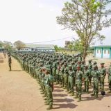 Christian Elders Urge FG To Deploy Forest Guards To Sambisa Over Rising Insecurity