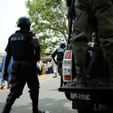 Police Recover Six Stolen Cows in Bauchi, Launch Hunt For Suspects