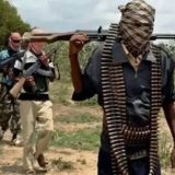 Amnesty International Condemns FG After Terrorists Kill 17 Farmers in Zamfara Attack