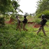Nigerian Soldiers Arrest Suspected Foreign Terrorist Fighter, Illegal Immigrant in Borno