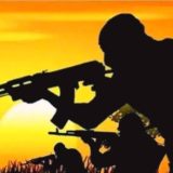 Women Increasingly Used for Terrorist Logistics, Intelligence in Northern Nigeria — Security Expert