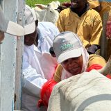 Kano L-PRES Training Enters Practical Phase as Trainees Inseminate Live Cattle