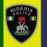Nigerian Police Arrest Tutor, Father in Child Defilement Crackdown