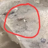 Police Recover Hand Grenade From Drainage Slab in Maiduguri