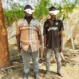 Bauchi Police Arrest Two Over Alleged Cattle Theft, N400,000 Bribery Attempt