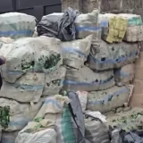 NAFDAC Uncovers Lagos Warehouse Stockpiling Empty Bottles For Suspected Fake Alcohol Production