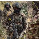 Troops Rescue Two Kidnapped Herders, Recover 520 Livestock in Sokoto